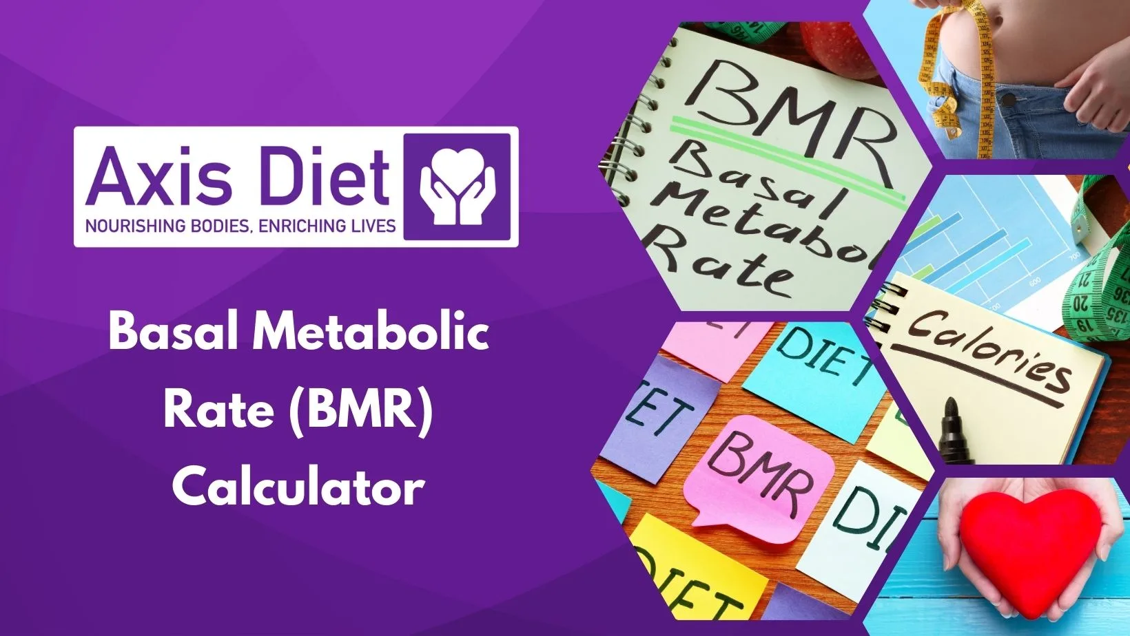 BMR Calculator (Basal Metabolic Rate) ‣ Axis Diet