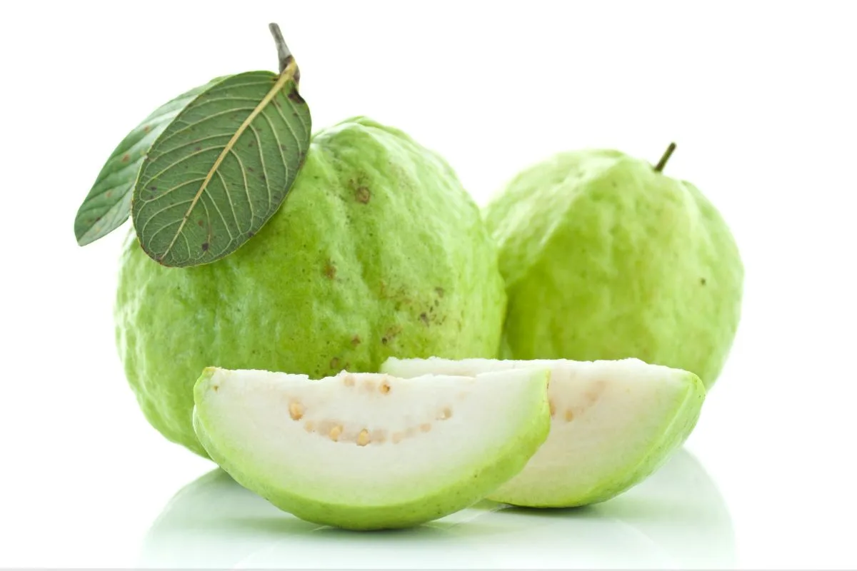 Guava: A Superfood for Health Enthusiasts