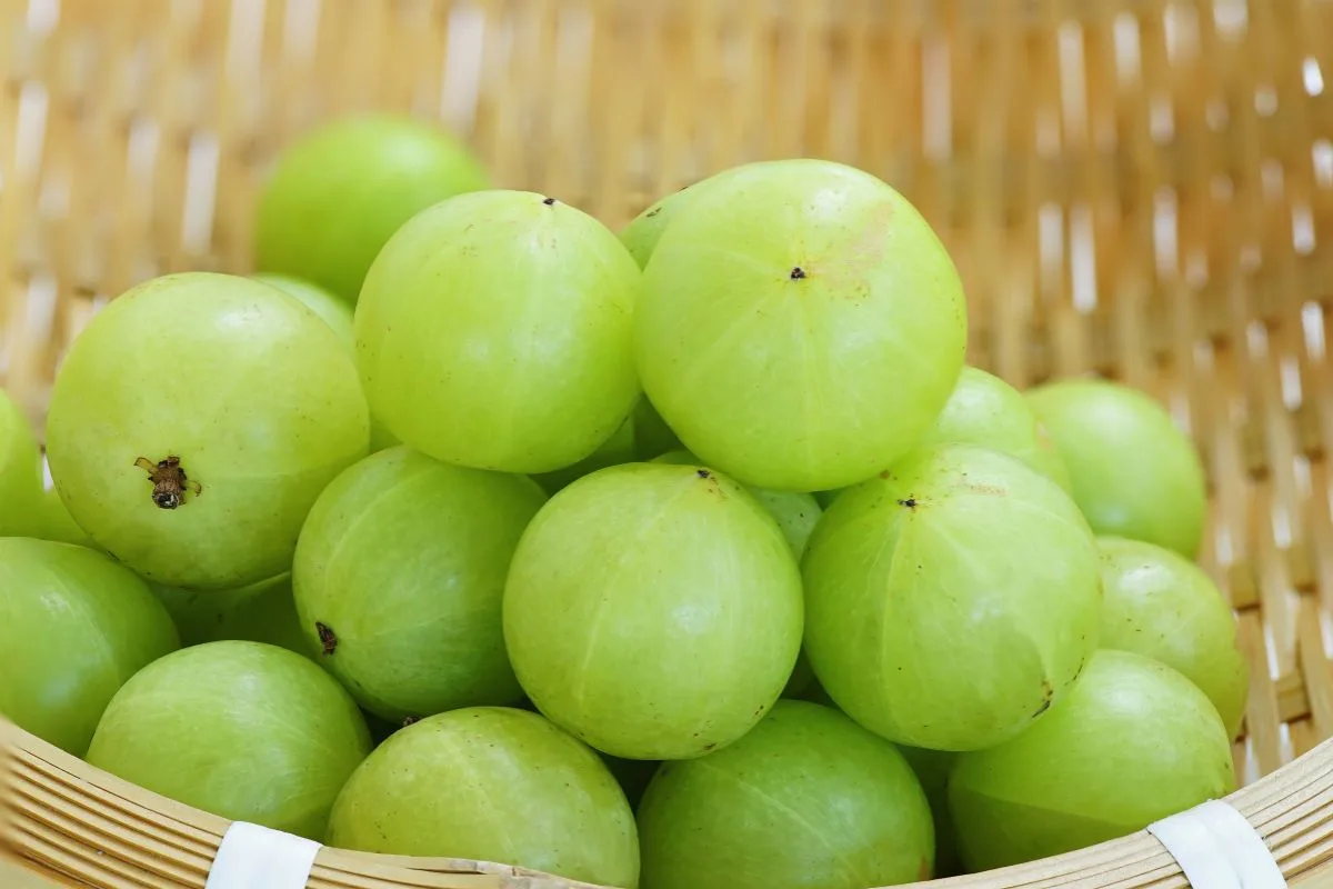 Amla: Health Benefits and Dietary Tips