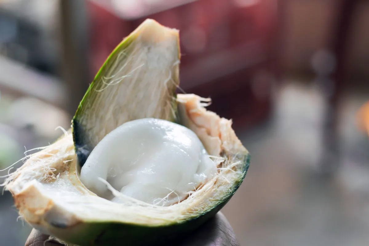 Tender Coconut