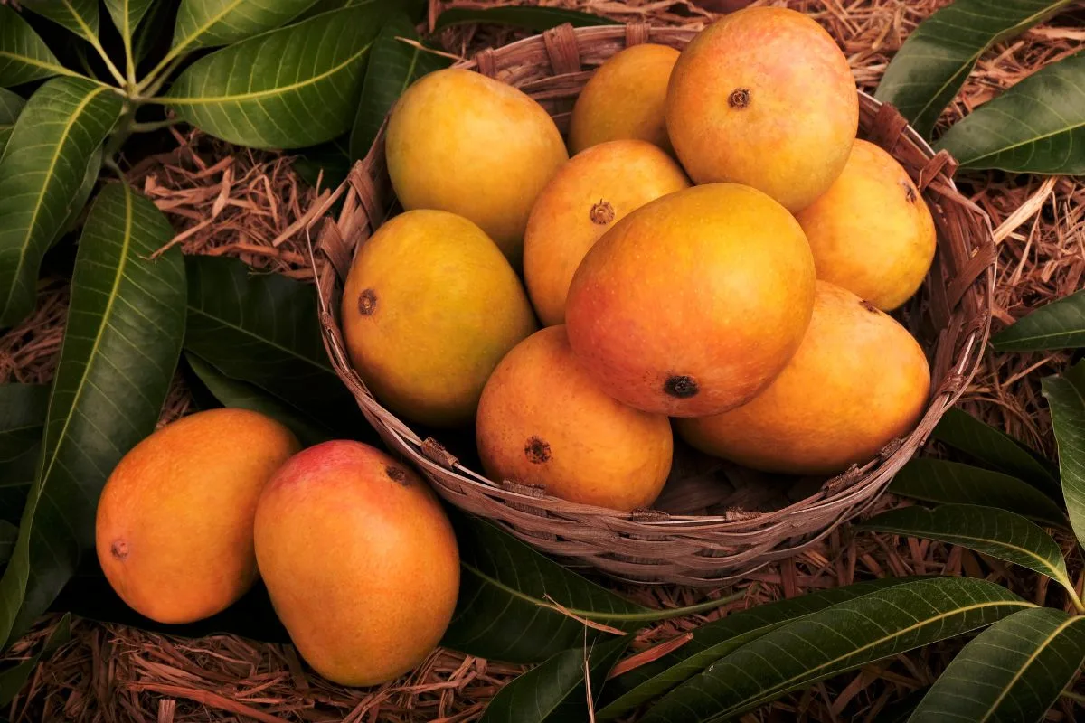 Mango: A Sweet Health Treasure